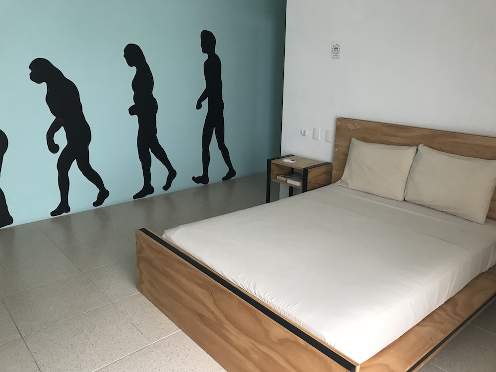 Mayan Monkey Hostel Cancun